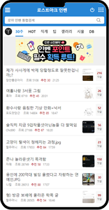 모바일 게시판 리뉴얼